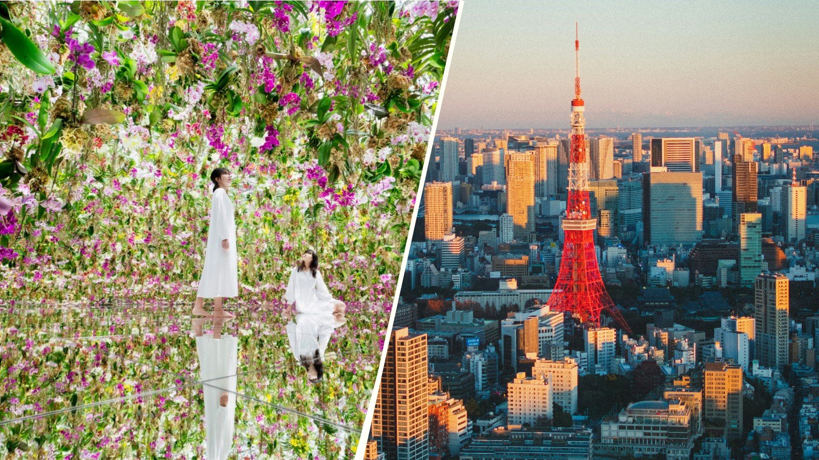 TOKYO: teamLab Planets DMM Skip-the-line & Tokyo Tower Main Deck Ticket Combo
