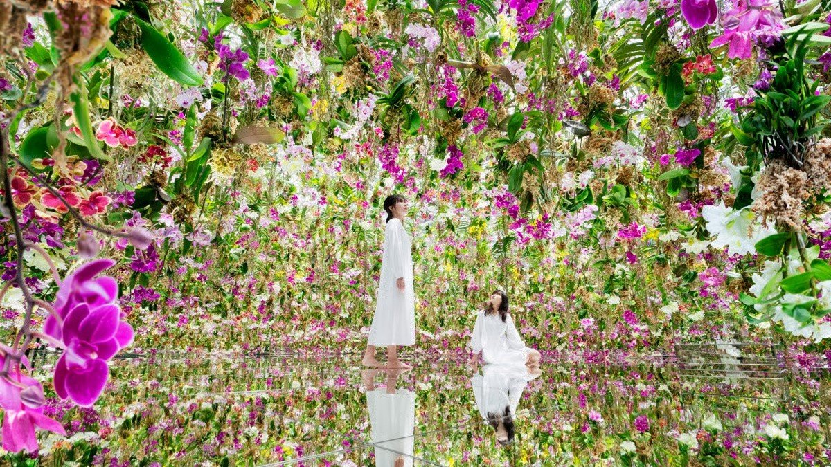 Tokyo: teamLab Planets Admission & 24-Hour Subway Ticket Combo